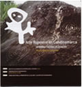 portada de libro Arte rupestre en Cundinamarca