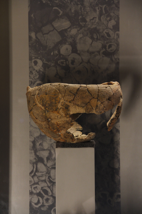 Museo Nacional